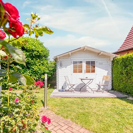 Der Suedschwede ... Dein Gaestehaus Mitten In Zingst Und Nah Zum Strand Buitenkant foto